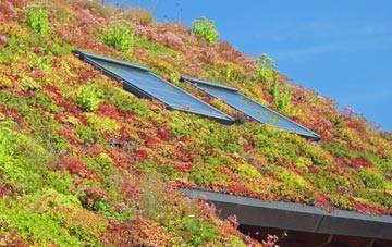 West Didsbury living roof systems